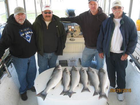 Nice Striped Bass
